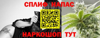 гашик Краснознаменск