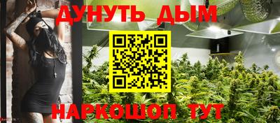 гашик Краснознаменск