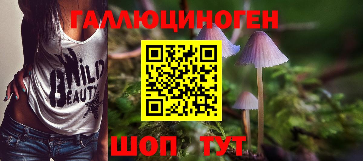 Псилоцибиновые грибы ЛСД Лабытнанги